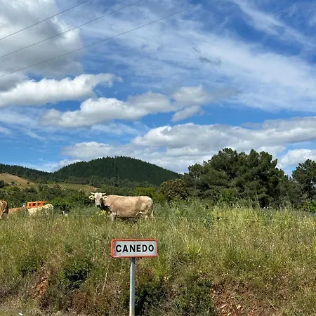 La Casa De Canedo * Arganza